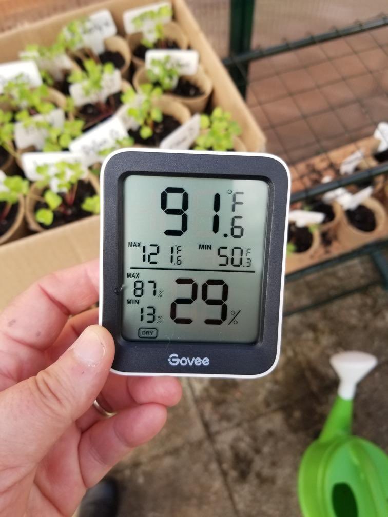 midvale_school's tweet photo. 4th grade is hard at work in the greenhouse. Their PBL asks the question: How can a plant’s environment affect its growth over time? Today Mr. Hamby, our partner from Fernbank Science Center, helped explore how to effectively use our greenhouse. We can’t wait to learn more! https://t.co/M62FUO2xVE