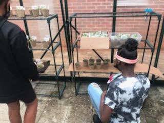 midvale_school's tweet photo. 4th grade is hard at work in the greenhouse. Their PBL asks the question: How can a plant’s environment affect its growth over time? Today Mr. Hamby, our partner from Fernbank Science Center, helped explore how to effectively use our greenhouse. We can’t wait to learn more! https://t.co/M62FUO2xVE