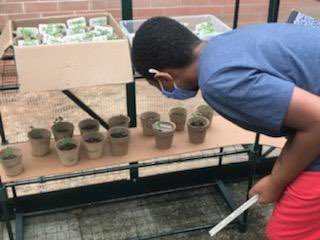 midvale_school's tweet photo. 4th grade is hard at work in the greenhouse. Their PBL asks the question: How can a plant’s environment affect its growth over time? Today Mr. Hamby, our partner from Fernbank Science Center, helped explore how to effectively use our greenhouse. We can’t wait to learn more! https://t.co/M62FUO2xVE