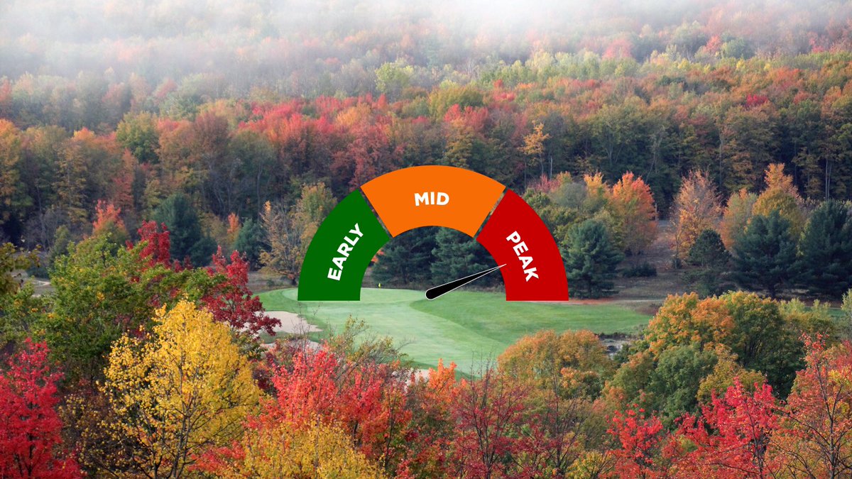 CrystalMountain's tweet photo. π¨ Fall Color Friday Alert! π¨ Weβre moving the needle to #peakcolor! The #leaves really transformed this week and the view is gorgeous. Buy your scenic chairlift tickets online, in advance! π
Buy Now: https://t.co/rAZARKd22G https://t.co/ixyDBiYsam