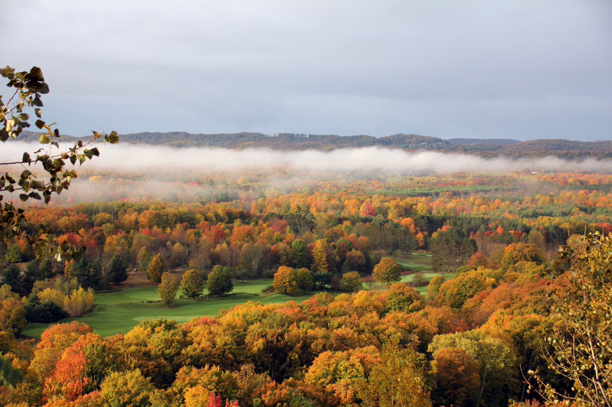 CrystalMountain's tweet photo. π¨ Fall Color Friday Alert! π¨ Weβre moving the needle to #peakcolor! The #leaves really transformed this week and the view is gorgeous. Buy your scenic chairlift tickets online, in advance! π
Buy Now: https://t.co/rAZARKd22G https://t.co/ixyDBiYsam