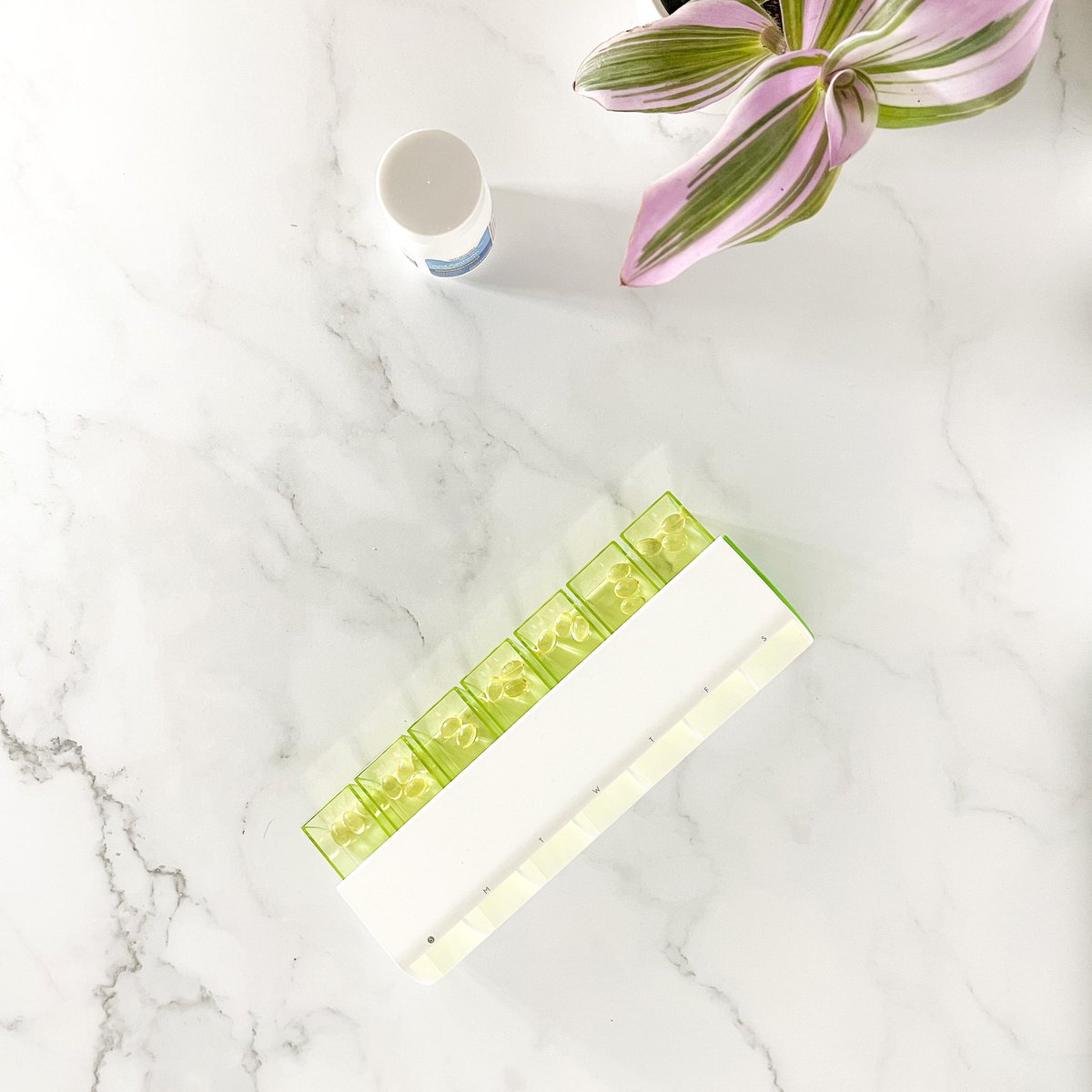 TricellaHealth's tweet photo. Filled up and ready to go with Pillbox! Magnetic drawers keeps the pills inside until you’re ready to push it for your daily dose. Need a reminder? We got you—with the free Tricella Health app 💊 #medicine #takeyourpills #HealthTech #healthy #pills https://t.co/CaveRsQlbv