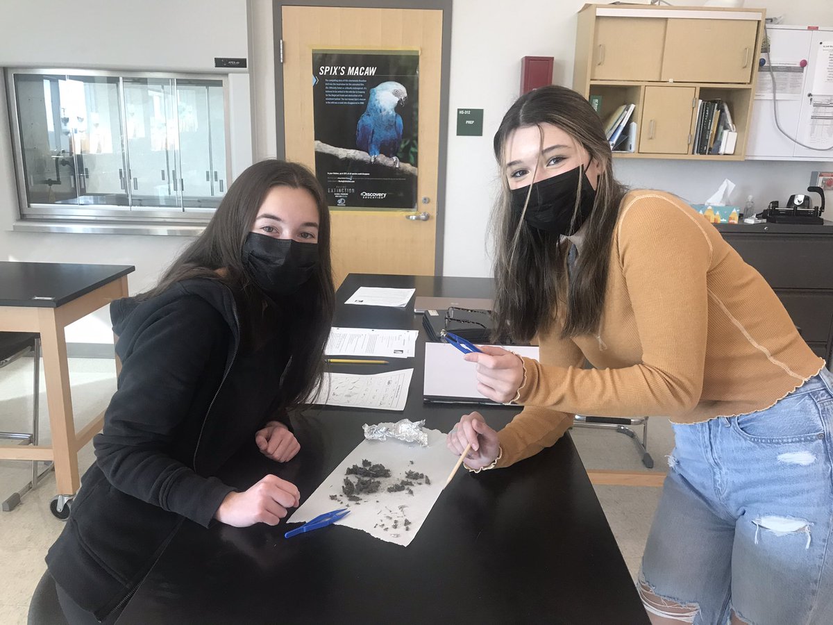 MsKerriganNRHS's tweet photo. More owl pellet dissections in #nrhsapes. They are all smiles until they have to do the calculations after 😉 #NRPSSTEAM #SeeYourselfinSTEM https://t.co/xoocdi3dH2