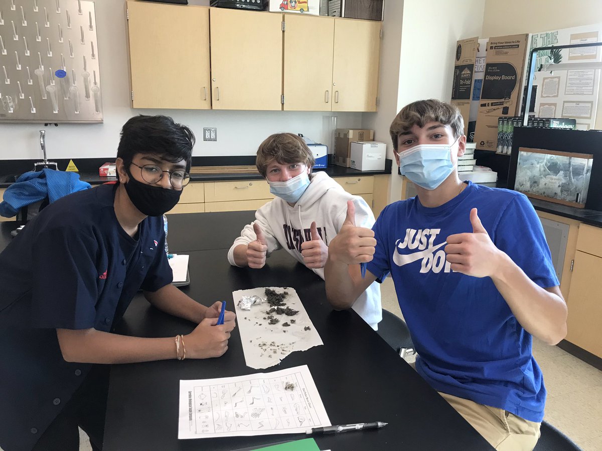 MsKerriganNRHS's tweet photo. More owl pellet dissections in #nrhsapes. They are all smiles until they have to do the calculations after 😉 #NRPSSTEAM #SeeYourselfinSTEM https://t.co/xoocdi3dH2