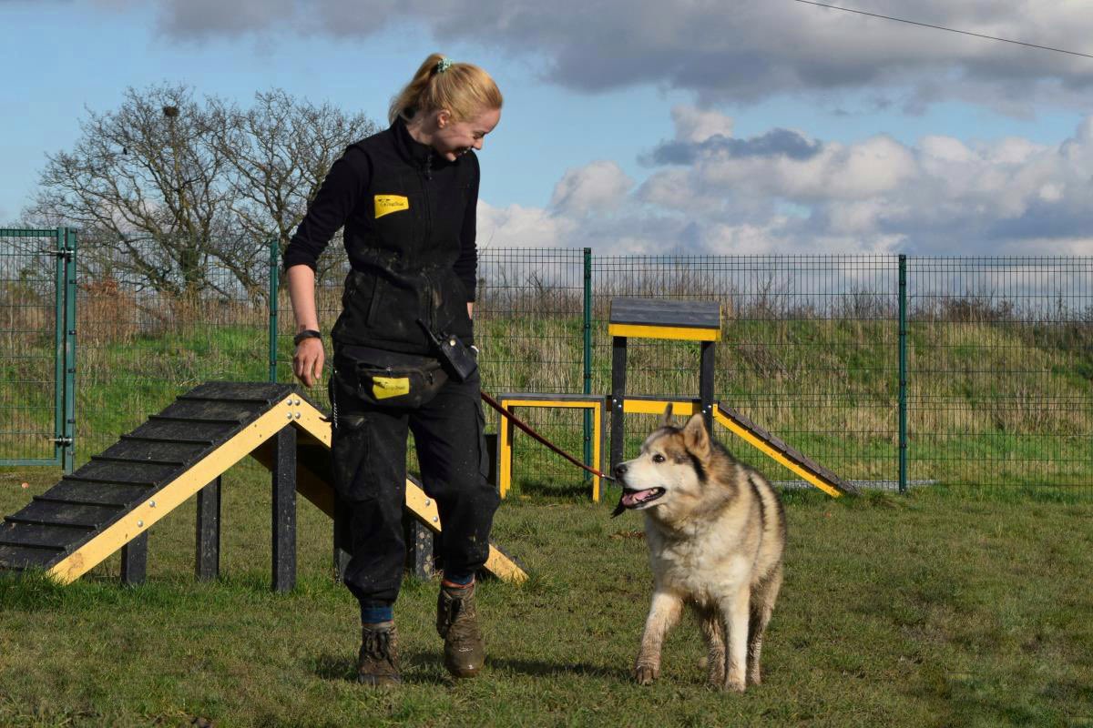 DT_Essex's tweet photo. Would you like to come and work with us? ππΆ
We currently have two vacancies for canine carers here at the centre (one full time, one part time) ππβπ¦Ί
Head to our website for more details and to apply today π https://t.co/b7Spi83U8E πΎ
#workwithdogs #dogstrustjobs @DogsTrust https://t.co/w16iamOQMs