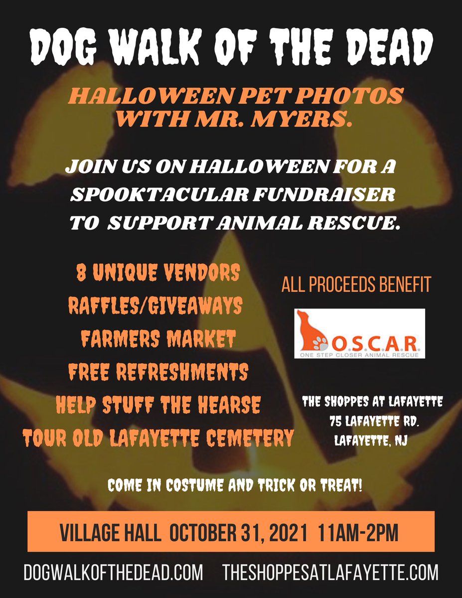 DogWalkOfTheDead (@deaddogwalk) on Twitter photo 