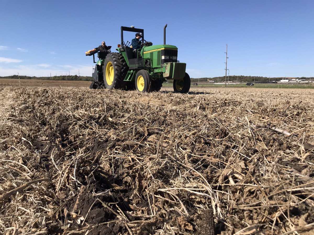 We are moving towards, or are already passed, the end of the optimum sowing date for winter #wheat in Kansas. If you haven’t planted it yet, make sure and check our @KStateAgron article “Management adjustments when sowing wheat late” here:
https://t.co/5SAufQsJAG https://t.co/6mSlHcplNa