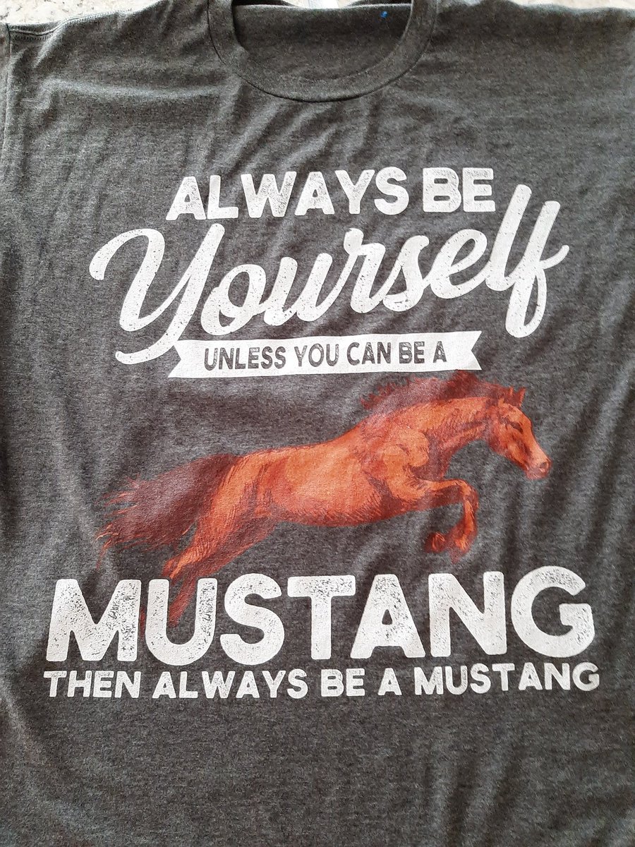 Vox Mustangs tweet media