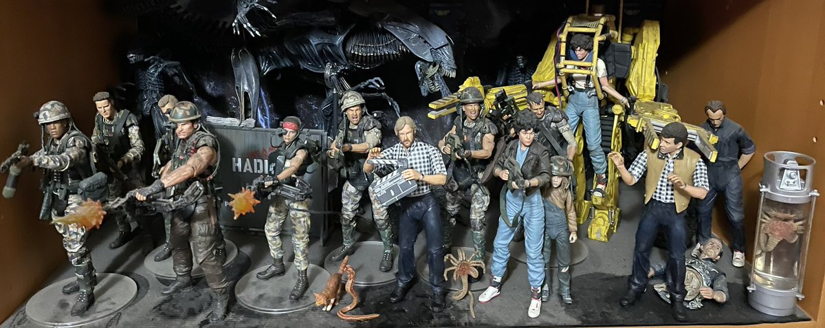 Plato. Marcus Plato. tweet media