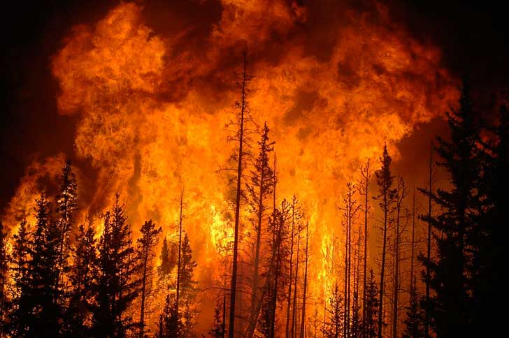 Lynch: We need real forest management, not #climatechange blame: reporterherald.com/2021/10/22/rep…

#forestmanagement #federallands #publiclands @forestservice #wildfire #wildfires #copolitics