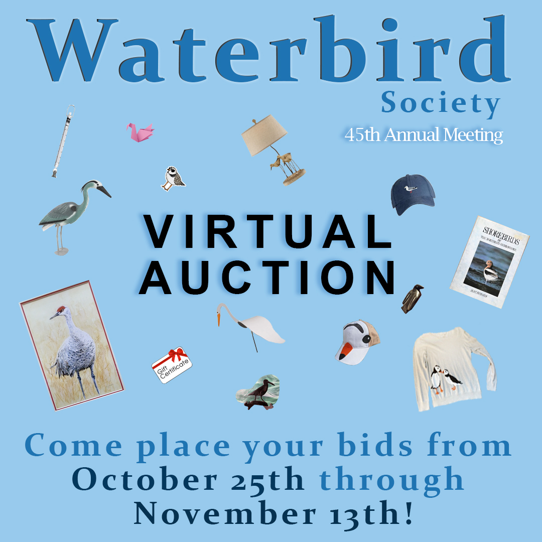 WaterbirdSociet's tweet photo. The @WaterbirdSociet Virtual Raffle opens THIS Monday and raises funds to send Students, Early Career Researchers, and Scientists from countries outside of North America to our next meeting. Their research furthers the conservation of waterbirds worldwide. https://t.co/bPJGwRxHdS https://t.co/D3kCiCcxLS