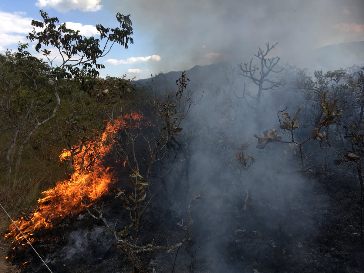 Imma Oliveras Menor tweet media