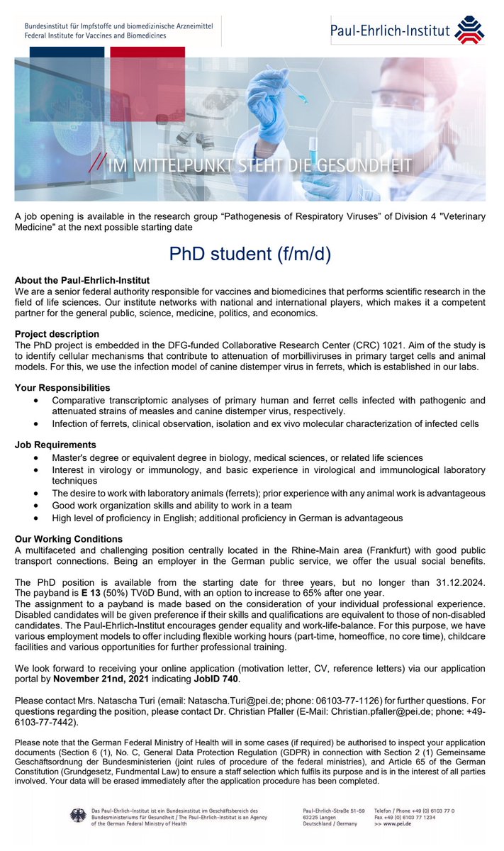 Christian Pfaller (@ckpfaller) on Twitter photo We are looking for an enthusiastic, virus-loving PhD student, who would like to learn more about morbilliviruses and how they are affected by the immune system. Apply, if you are interested, or forward to anyone who might be. @SFB_1021 <a href="/GesVirologie/">GfV - Gesellschaft für Virologie</a> <a href="/PEI_Germany/">Paul-Ehrlich-Institut</a> <a href="/dfg_public/">DFG public | @dfg_public@wisskomm.social</a> We are looking for an enthusiastic, virus-loving PhD student, who would like to learn more about morbilliviruses and how they are affected by the immune system. Apply, if you are interested, or forward to anyone who might be. @SFB_1021 <a href="/GesVirologie/">GfV - Gesellschaft für Virologie</a> <a href="/PEI_Germany/">Paul-Ehrlich-Institut</a> <a href="/dfg_public/">DFG public | @dfg_public@wisskomm.social</a>