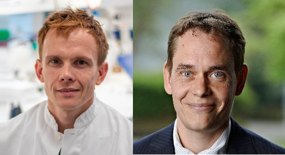 Drs. <a href="/JeanFarup/">Jean Farup</a>, <a href="/NielsJessen1/">Niels Jessen</a>, and <a href="/AarhusUni/">Aarhus Universitet</a> colleagues identified a PDGF-driven conversion of a subpopulation of fibro-adipogenic progenitors as a key 🔑 event in the #fibrosis development in type 2 #diabetes mellitus muscle.

Full article: 📌 bit.ly/3njnmkH