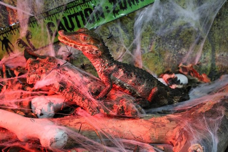 OxfordshireCotswolds tweet media