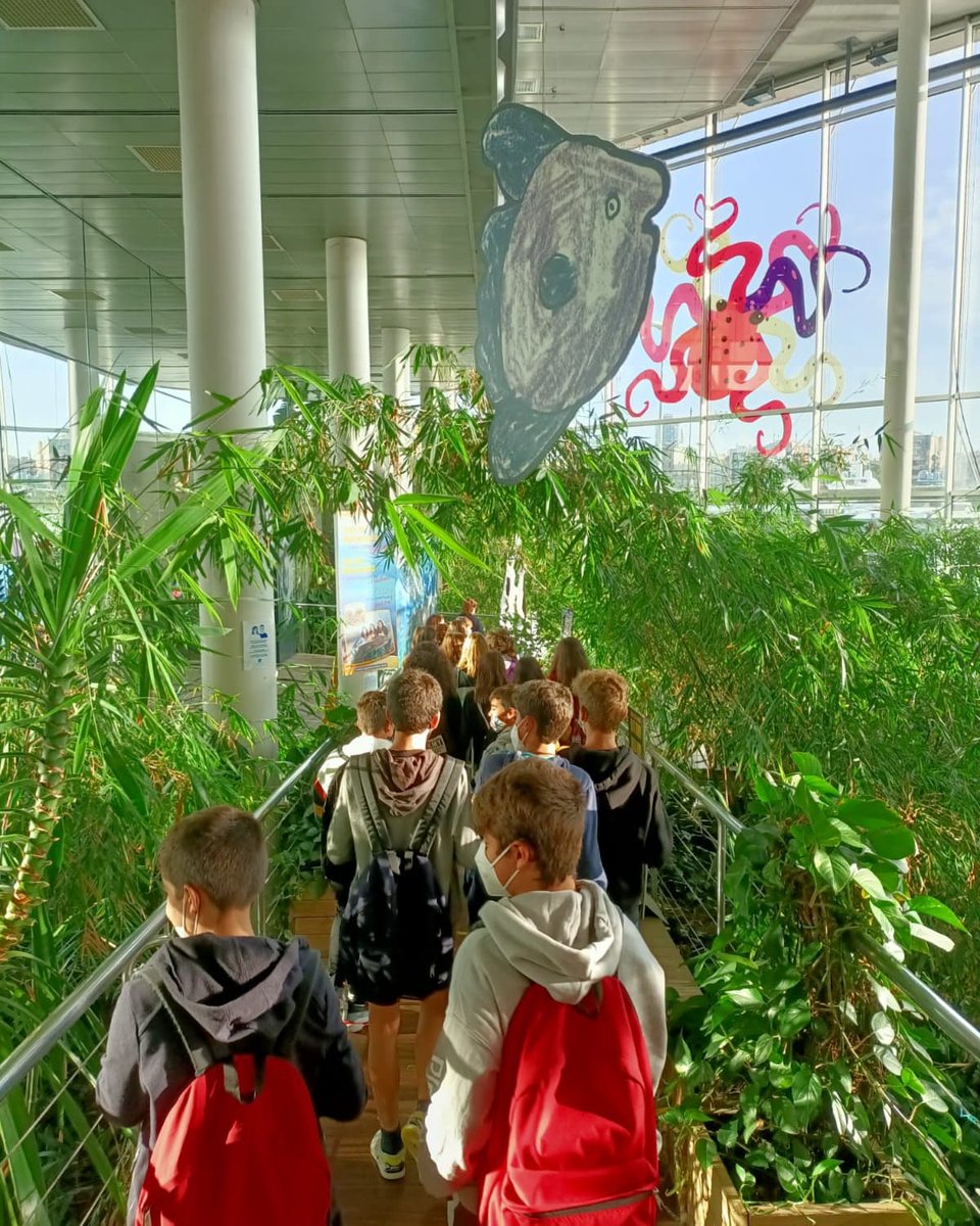 epiasabadell's tweet photo. ESTUDIEM ELS INVERTEBRATS
Avui els alumnes de 1r d'ESO hem visitat l'Aquàrium de Barcelona on hem realitzat un taller relacionat amb els invertebrats.
#1RESOPIASABADELL
#SECUNDÀRIAPIASABADELL https://t.co/rzh5hWYVER