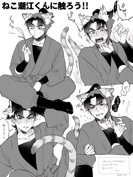 いっぱい触ってあげてください(ブリーダー) 