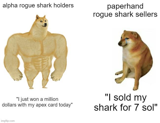 docovevo's tweet photo. @RogueSharkTank #RSCPirates 🚀🚀🚀 https://t.co/xbTPNDBgev