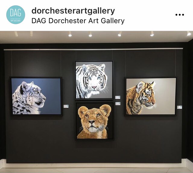 SueArts's tweet photo. It is always so nice to see photos of my paintings framed up and displayed in a gallery or in their final home. This fabulous display is in the Dorchester Art Gallery. https://t.co/RvMjTvuvFJ