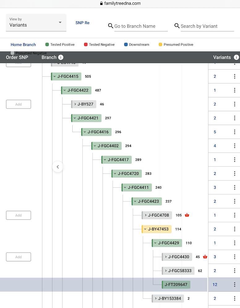ShammarGen's tweet image. يسرنا إعلان نتيجة BY700
لعواد خالد علوش من عشيرة الوهب من شمر/ريف حلب
والتقت بعينة أحمد إبراهيم حطاب من العشيرة نفسها/ريف الرقة تحت التحور FT209647 فرع التحور الشمري FGC4429 حفيد التحور الطائي FGC4421 حفيد التحور الأددي FGC4415 من السلالة J1
وهاتان أول عينتين لهذه العشيرة الكريمة