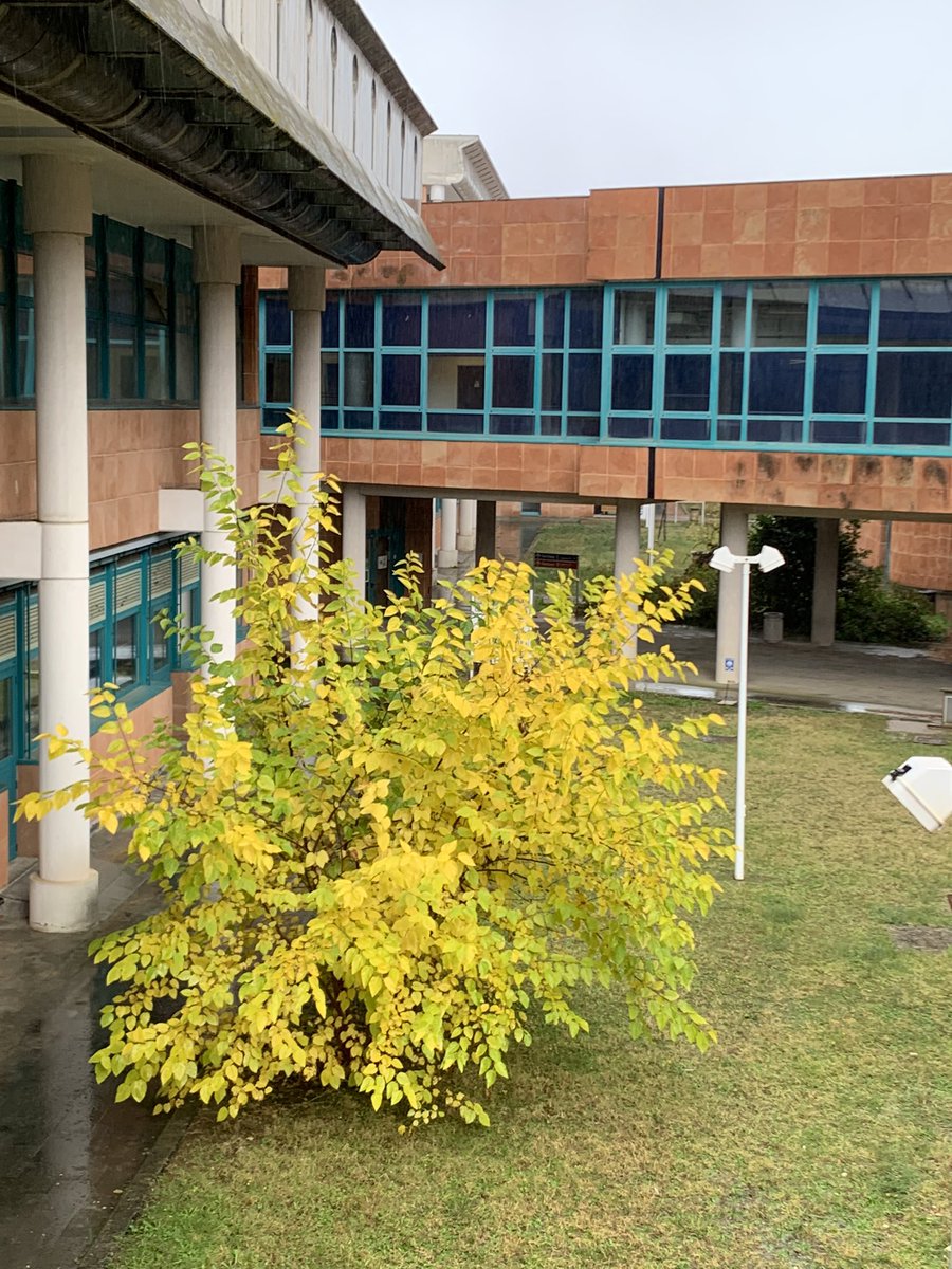 Autumn in <a href="/unisiena/">Università di Siena</a>