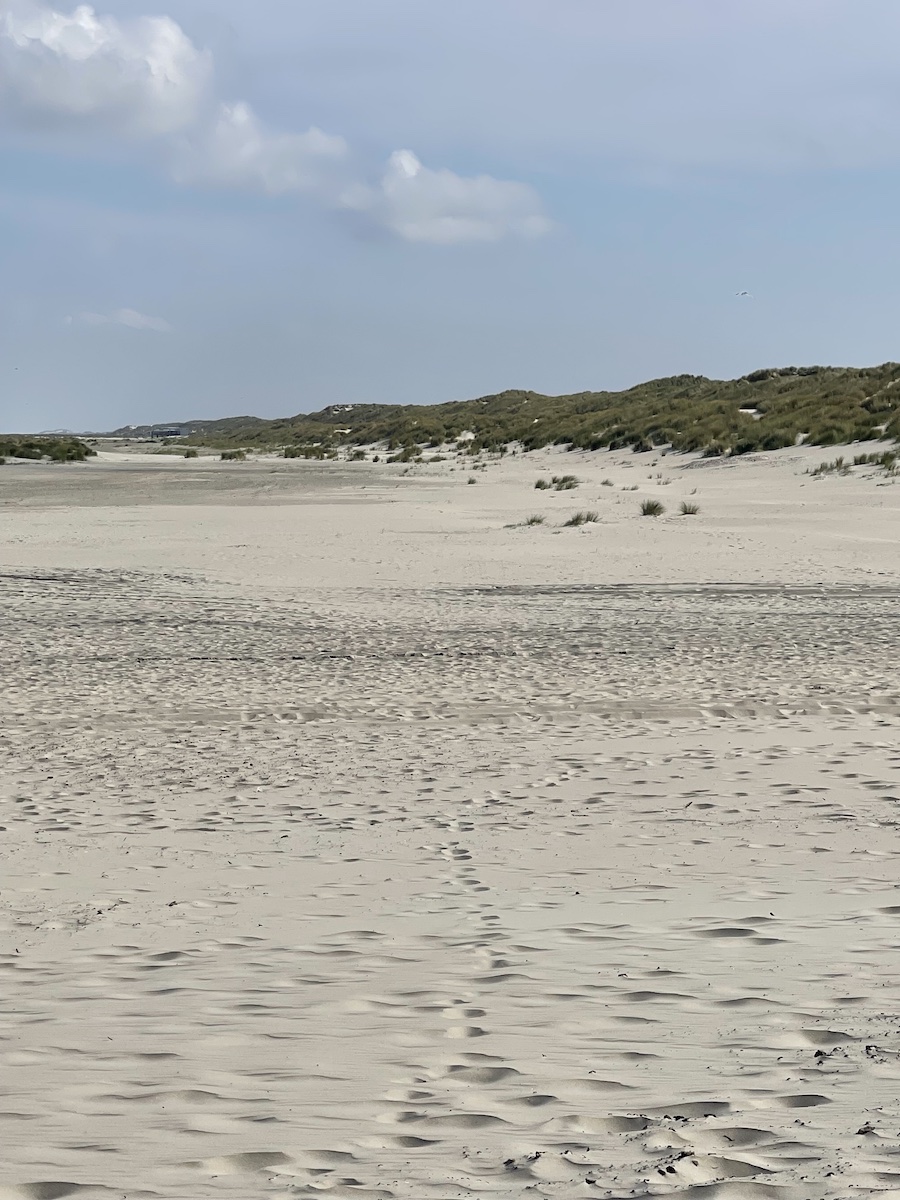 CAStrips tweet media