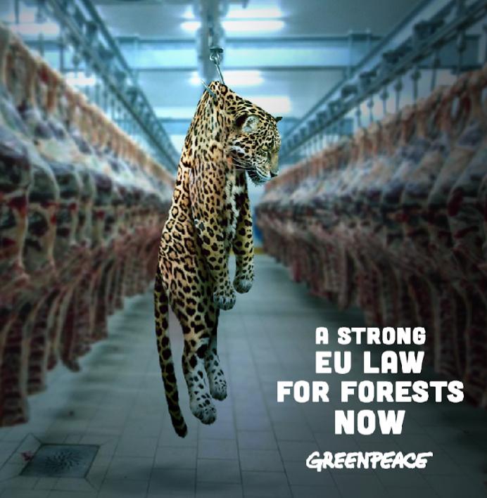 DanielW58032797's tweet photo. Forests support people's lives of people through provisioning of oxygen and uptaking elements of carbon, it support people's livelihoods among others.@vonderleyen there is dire need of strong policies to protect forests.@EU_Commission @gp_kenyagroup #TogetherforForest https://t.co/yxLxFjqrWU