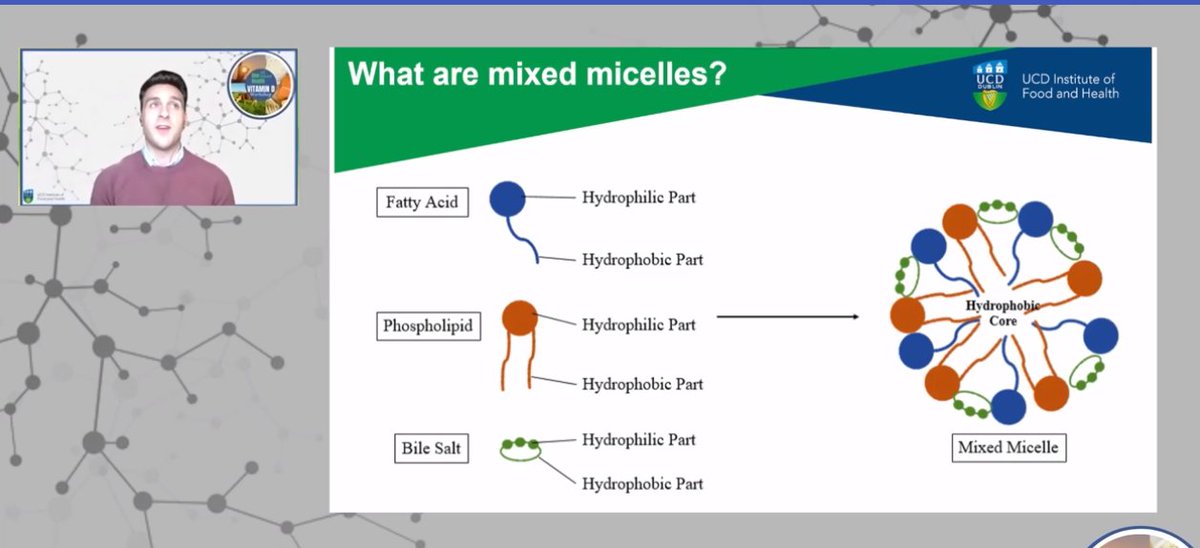 UCDFoodHealth's tweet photo. Up next is @steven_mul who is discussing his PhD work looking at enhancing vitamin D stability and bioaccessibility using mixed micelles #VitDOneHealthWorkshop #VitaminD #OneHealth https://t.co/wlNZ8gXYRp
