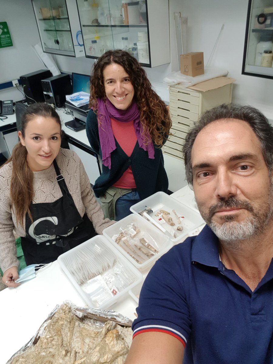 ManuelSalesa's tweet photo. Restaurando los fósiles de El Rincón-1 (#Albacete) en el laboratorio de restauración del @mncn_csic dentro del proyecto 2021 de @culturaenclm #FossilFriday #ConservadoresRestauradores #RestauracionRegulacion #Paleontología #Palaeontology #Paleontology #Paleontologie https://t.co/aaUIQNSPY3