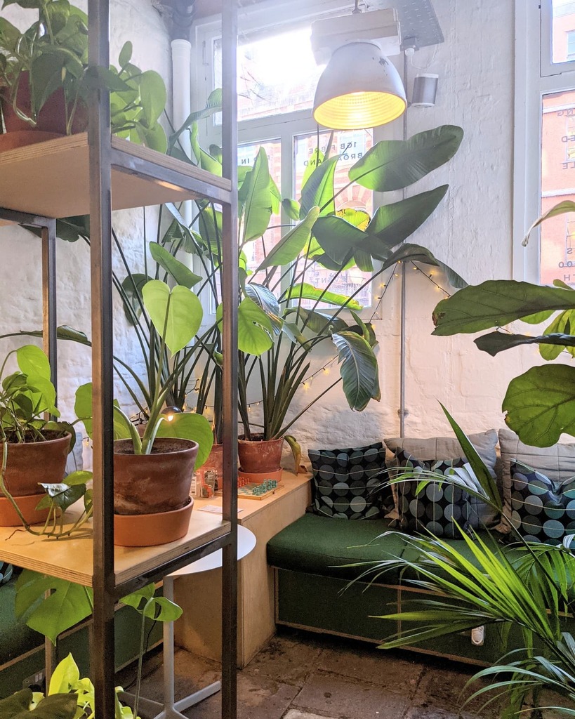 One of our favourite green spots, nestled in the corner of the co-working floor at @frameworkbristol.

If you're looking for a chilled, green space to work in the heart of Bristol, we have a range of spaces available from PAYG co-working membership throu… instagr.am/p/CVU6mVkMPZ2/