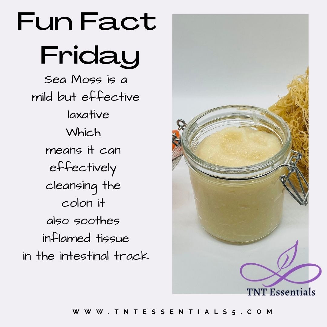 TntEssentials's tweet image. Do you use sea moss?

#benefitsofseamoss #dalgonacandychallenge #fy #wellnessliving #organicwellness #squidgames #healthyliving #alkalinelifestyle #smallbusinessmn #seamossgel