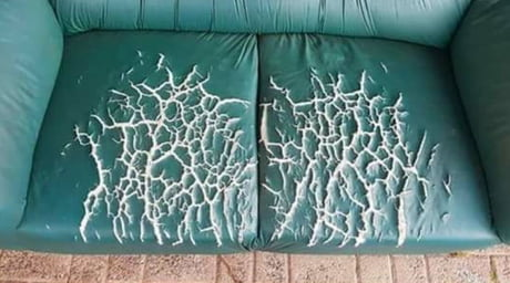 DrippySoap's tweet photo. no mames no trajeron a https://t.co/T2oPlATVaB