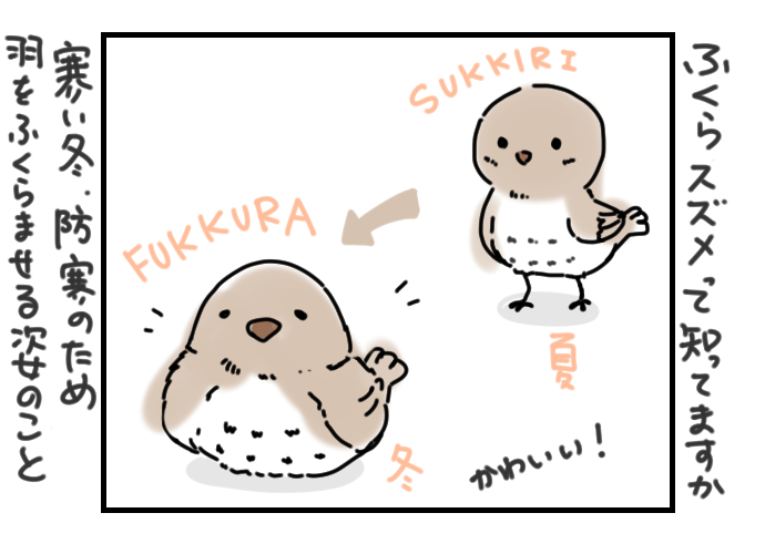 10月の #今日のひとコマ

自分の前世はスズメだったかもしれないと思った話

暮らしのひとコマをコマ絵日記でお送りします。
今日もおつカレー🍛様。
#挨拶365 