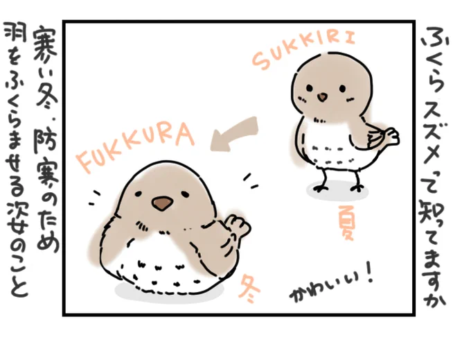 10月の #今日のひとコマ

自分の前世はスズメだったかもしれないと思った話

暮らしのひとコマをコマ絵日記でお送りします。
今日もおつカレー🍛様。
#挨拶365 