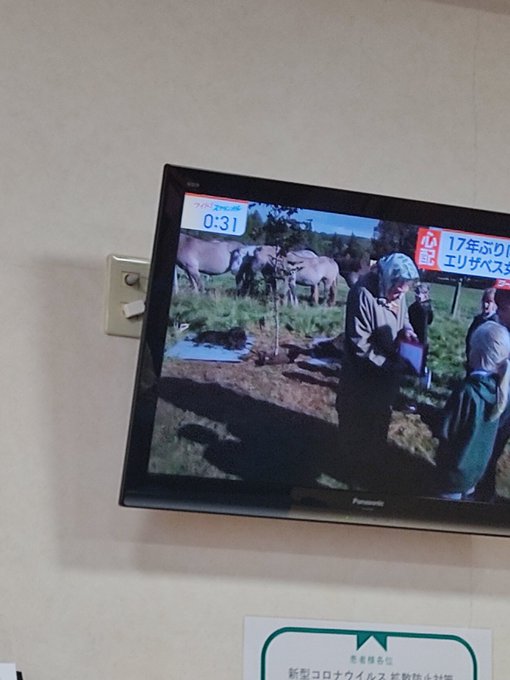 透析待機ちゅ(*'ω`*) 