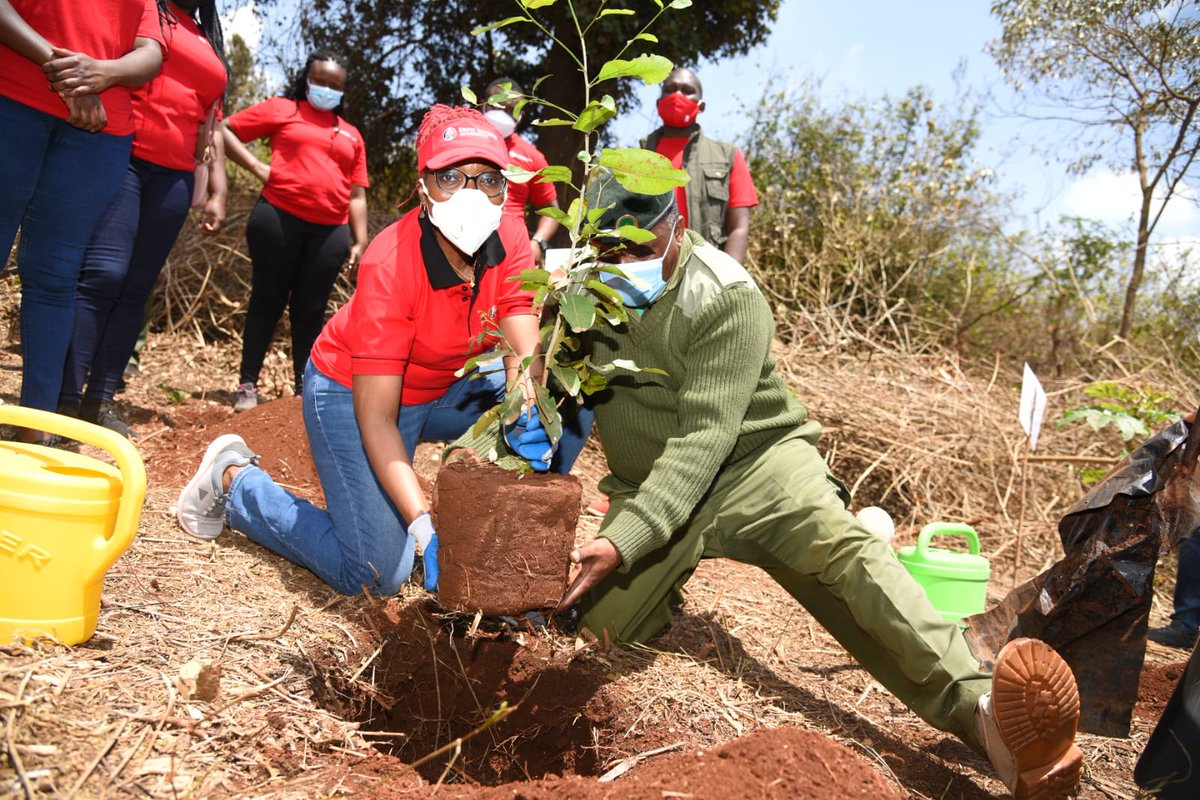 KRACare's tweet photo. The team was led by Deputy Commissioner, Supply Chain Management Mrs. Grace Murichu & Chief Manager, Public Relations & Communication Ms. Sheila Mugusia, in collaboration with @KeForestService led by Commandant Alex Lemarkoko, rep the Head of Kenya Forest Service. #ProjectGoGreen https://t.co/AGN2WLHhHK