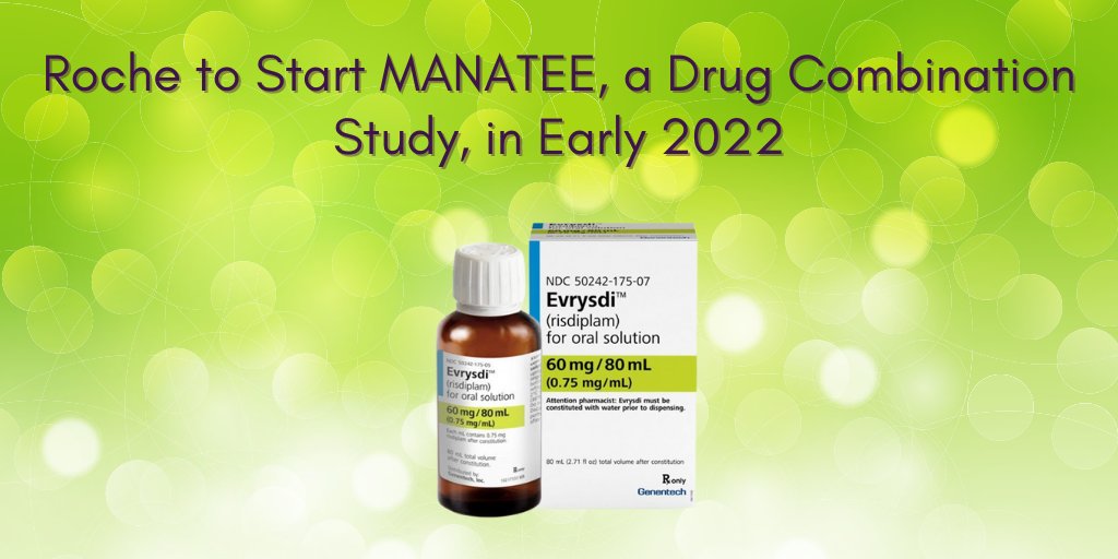SMA_UK_'s tweet photo. Roche are to initiate MANATEE, a new global Phase 2/3 clinical study, to evaluate the safety and efficacy of GYM329 (RO7204239) - an investigational anti-myostatin antibody targeting muscle growth - in combination with #risdiplam in SMA: https://t.co/IIqjzphPG6 https://t.co/QRQI9k6Svn