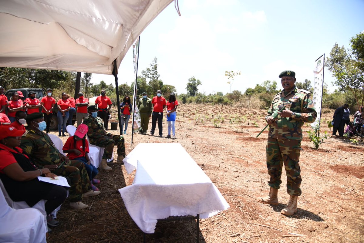 KRACare's tweet photo. Our staff were educated on the various types of trees as well the importance and need to conserve forests and the environment at large. Their efforts were celebrated and were called upon to continue in conservation activities. #Taxpayersmonth2021 #ProjectGoGreen #ClimateAction https://t.co/GO5kRas0Ri