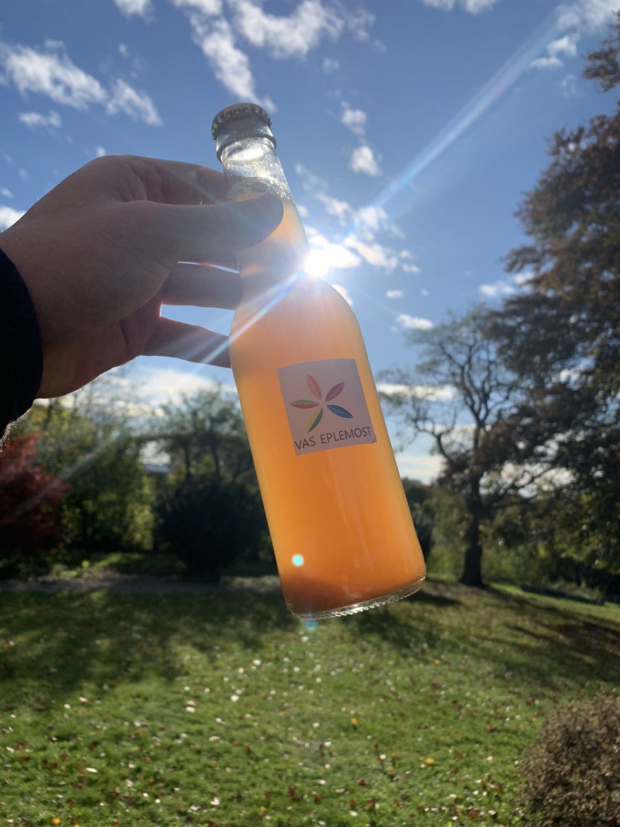 Vi er i mål. VAS eplemost er solgt, og prosjektet er fullført. Vi møtte noen utfordringer knyttet til sponangjæring, men produktet er fortsatt fantastisk.