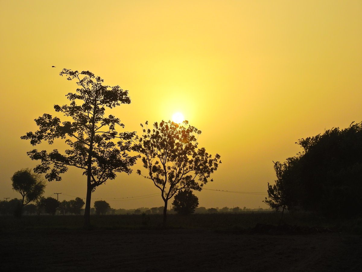 mmatalpur's tweet photo. #SunSetAndTrees
Not to ignore the Birds on Electric wires https://t.co/IoQCzuBw1a