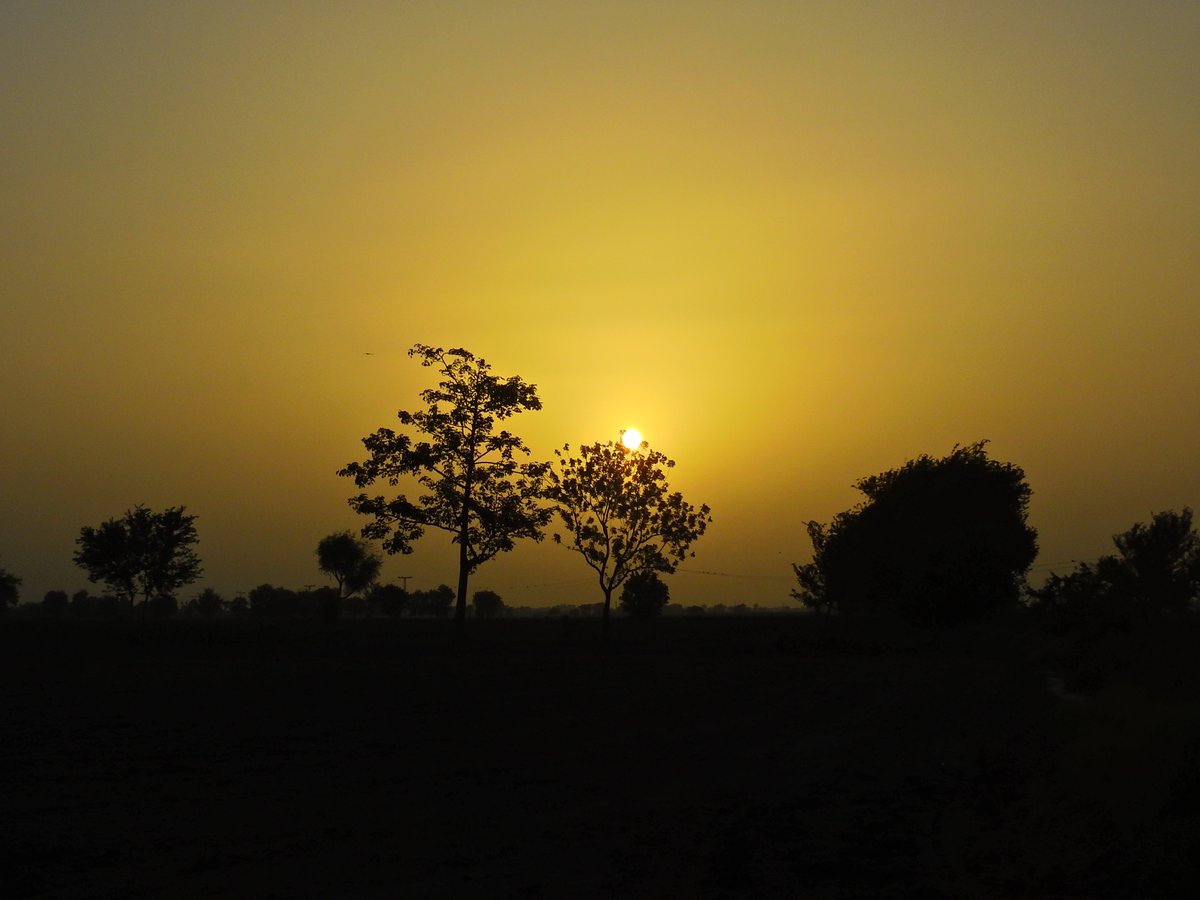 mmatalpur's tweet photo. #SunSetAndTrees
Not to ignore the Birds on Electric wires https://t.co/IoQCzuBw1a