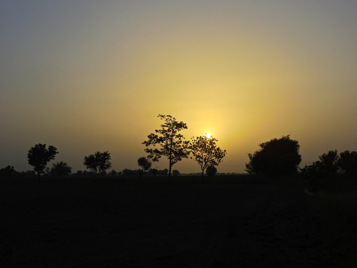 mmatalpur's tweet photo. #SunSetAndTrees
Not to ignore the Birds on Electric wires https://t.co/IoQCzuBw1a