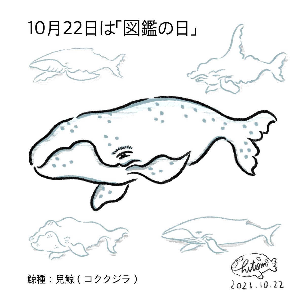 Twoucan セミクジラ の注目ツイート イラスト マンガ コスプレ モデル