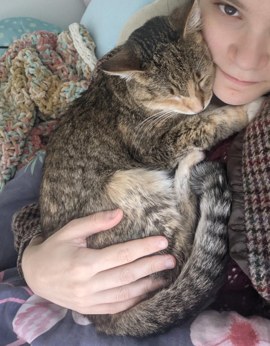 natureheel's tweet photo. Adopted an older kitty who had been returned to the shelter a few times. I think we've bonded! https://t.co/rwz4jymIZJ