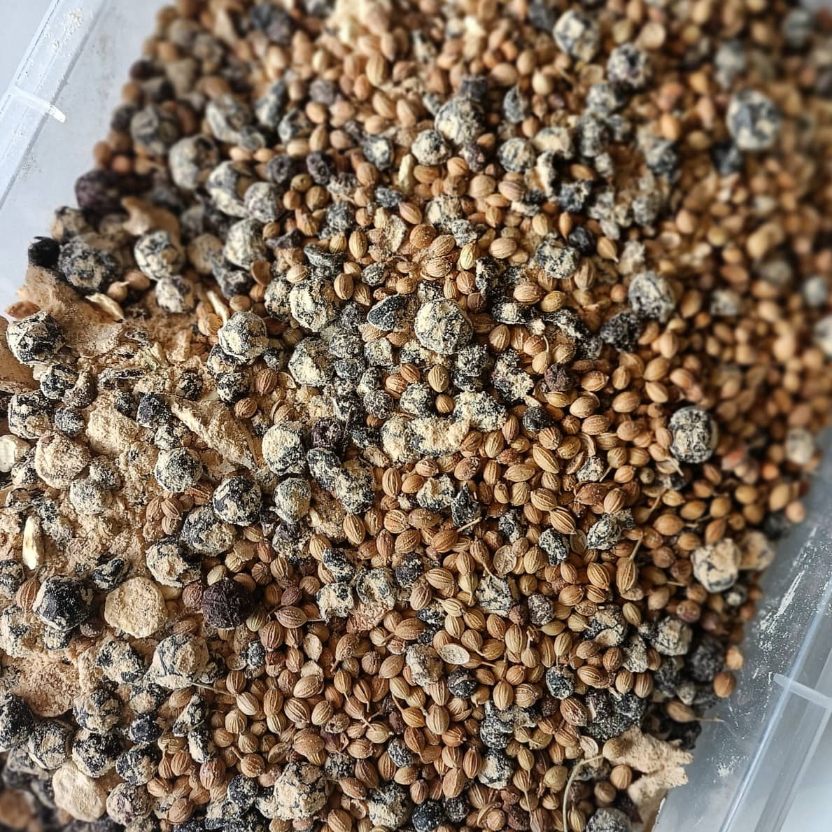 Beautiful orris-coated botanicals, ready for a Pier Gin: Classic run to get stocked up for the plethora of markets and events coming up. 

Check out our website to see when and where we will be over the coming weeks and months.

#PierGin #Local #Gin #Clevedon #NorthSomerset