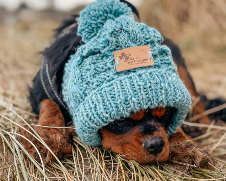 RTÉ Nationwide tweet media