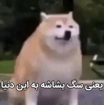 hawdi_'s tweet photo. @mandanamandela داشتی هم نمیرید برات تهش میگفت برو خونه مامانت بگو برات درست کنه https://t.co/GZKCW9x8Aa