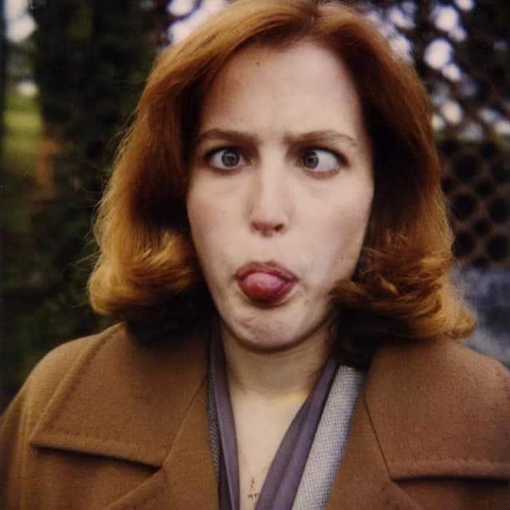 composer_moises's tweet photo. 😄🎥
#GillianAnderson #agentescully #ExpedienteX https://t.co/GdomVPtVsk