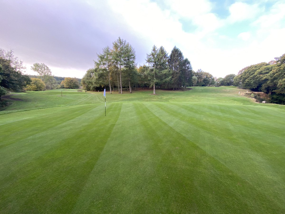 Chris Wood tweet media