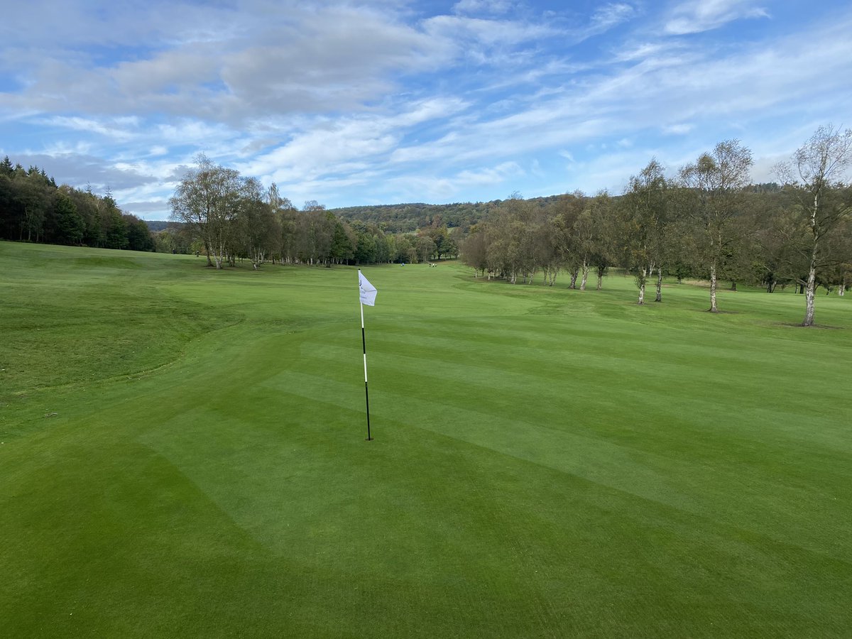 Chris Wood tweet media